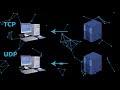 TCP vs. UDP DIFERENCIAS | protocolos de transporte