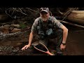 Fly Fishing Northern PA / Wild Brook Trout