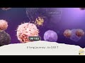 CAR T-cells in Non-Hodgkin Lymphoma, A Hopeful Option 2022