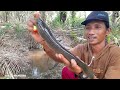 Mancing ikan di parit STRIKE IKAN GABUS