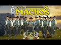 Banda Machos - Puras Rancheras Mix