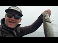 Best Bass 2020. What Lures & Why. Seabass Fishing Ireland