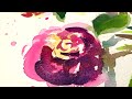 Paul Rubens YOULAN Orchid - 5th Generation Watercolors