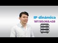 DIFERENCIA entre IP PÚBLICA y PRIVADA en Internet ✅ | Waii Empresarial