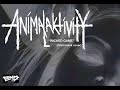 Animalaktivity - 