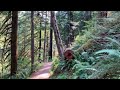 ASMR Hike In Forest With ASMR Music