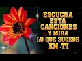 LA CANCIÓN CATÓLICA MAS HERMOSA DEL MUNDO 2023 - MUSICA CATOLICA DE ALABANZA Y ADORACION