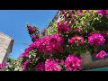 Alaçatı İzmir 2024 gezisi - walking tour 4K #alaçatı #izmir