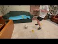 Soccer Dribbling and Passing Practice: Train Like a Pro at Home