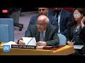 Palestine Urges UN to Isolate Israel with Total Boycott | DAWN News English