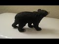 Schleich Wildlife 2017- Sloth Bear