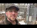 What Led us to Modern Homesteading