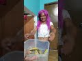 Masungit si Aling Tere kay Bebang | Madam Sonya Funny Video