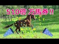 【競馬検証】3連単26点　的中率ＯＫ!!　1000倍以上も出た買い方！