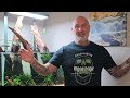 DEEP DIVE INTO MY LATEST AQUASCAPE | SCALED DOWN VERSION OF THE MOST FAMOUS AQUASCAPE IN THE WORLD