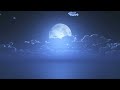 Deep sleep music to sleep quickly and deeply, music therapy - Music to meditate - 24h