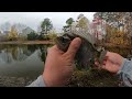 Fishing with Micro Lures for Winter Bluegill