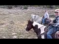 Mountain Cow Hunting | Fall Roundup 2022 @ Anchor Brand Ranch