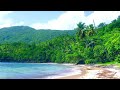 Perfect Tropical beach ambience with calming sea waves, Relax.