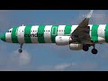 ✈️ 80 AIRCRAFT TAKEOFFS and LANDINGS in 1 HOUR 🇩🇪 FRANKFURT Main Airport Plane Spotting [FRA/EDDF]