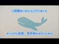 【釣り】ジョルティでながーい青物とヒョウ柄の青物を仕留める【ネタ系】