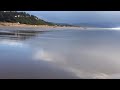 Pyrosomes on the Oregon Coast