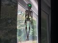 Animated, laughing skeleton