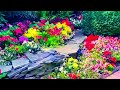 Anthony’s Garden by @KevinJamesFrench #youtubemusic #musicvideos #newmusic