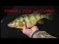 How to Clean a Perch - Quick, Easy, and No Mess!