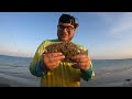 Catchings Tons Of Flounder Left And Right On A Extremely High Tide!