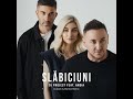 Slăbiciuni (feat. Andia) (DJ Dark & Mentol Remix)