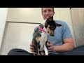 Watch her reaction when she's PET for the First Time in her life