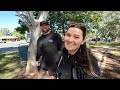 RUDE CAMPERS travelling Outback QLD