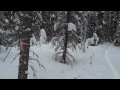 My Favorite Trail in Fairbanks Alaska