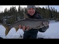 NEW LURE CRUSHES LAKE TROUT!