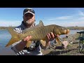 Carp Fishing Takes No Skill (Wild Carp Fishing)