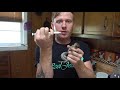 How to Take Care of a Baby Squirrel - Everything You Need to Know