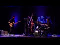 Julian Lage per SOStieniBrescia