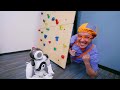 Blippi Plays and Learns With A Robot! | Educational Video for Kids