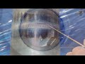 TIG welding horizontal pipe . Hot Fill and Cap pass weld with cup walking technique in 2G position