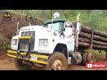 Extreme Dangerous Monster Stump Removal Excavator - Fastest Stump Grinding Machine Wood Working