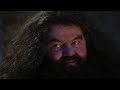 Hagrid Was a Death Eater - Harry Potter Fan Theory