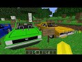 What to CHOOSE ? DIAMOND vs DIRT POLICE CAR in Minecraft ! I BECOME A POLICEMAN !