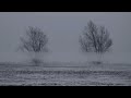 Ralph Vaughan Williams : In the Fen Country. Photographs.