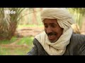 TIMIMOUN OASIS: the veins of the SAHARA | WIDE | FULL DOCUMENTARY