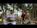 Forest Journey Meditation | Pelalex HANDPAN 2 hours Music For Meditation #48 | background music