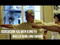 Kung Fu 101: Introduction to the Kung Fu World