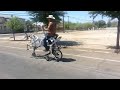 Cyclovia Tucson 2013 - The Dead Cow Bike