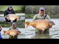 Carp Fishing Made EASY With SwimBooker | 24hr At Elphicks Fishery | @fishingforabite