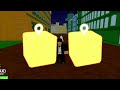 Begging for FRUITS as a GIRL vs BOY for 24 Hours and this happened.. Blox Fruits Roblox